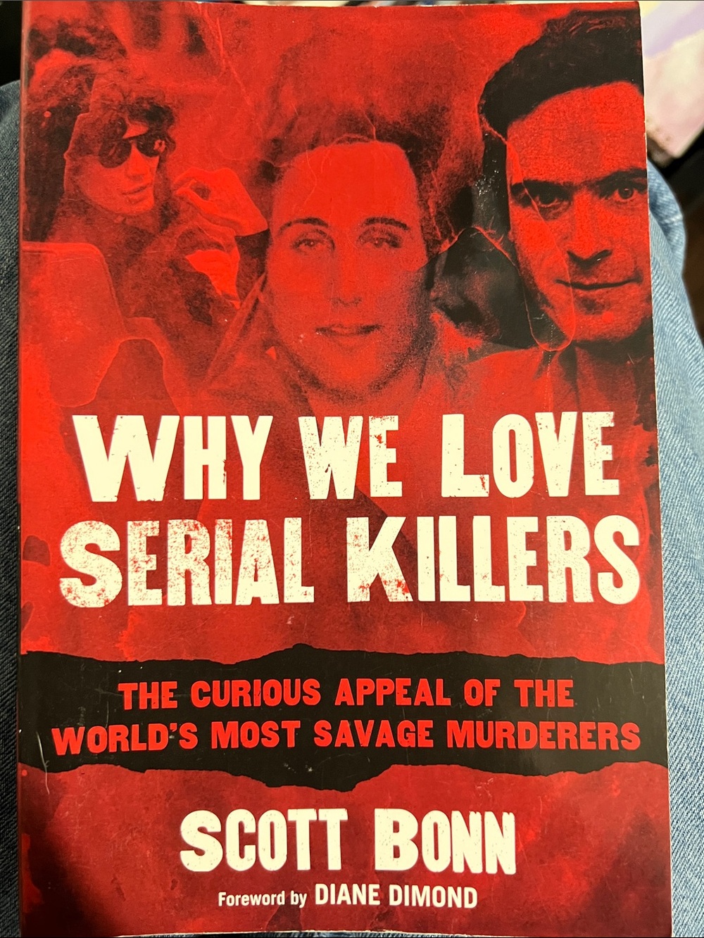 Why we love serial killers book